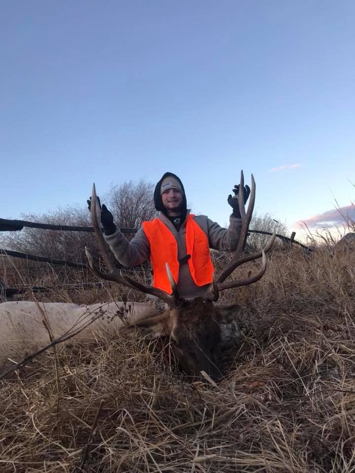 Hunting trophy